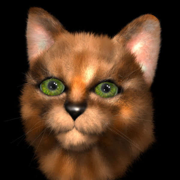 Kitty Final.jpg