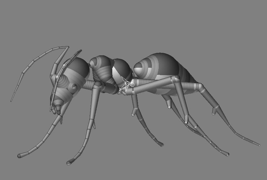 antsphere.JPG
