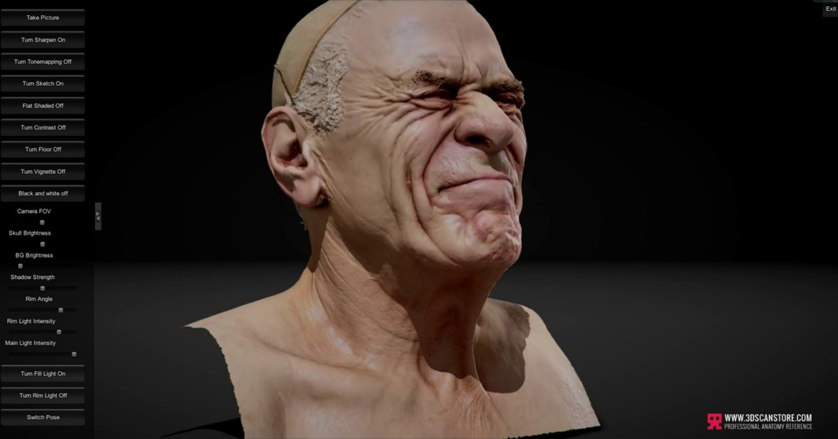 Head Scan.jpg
