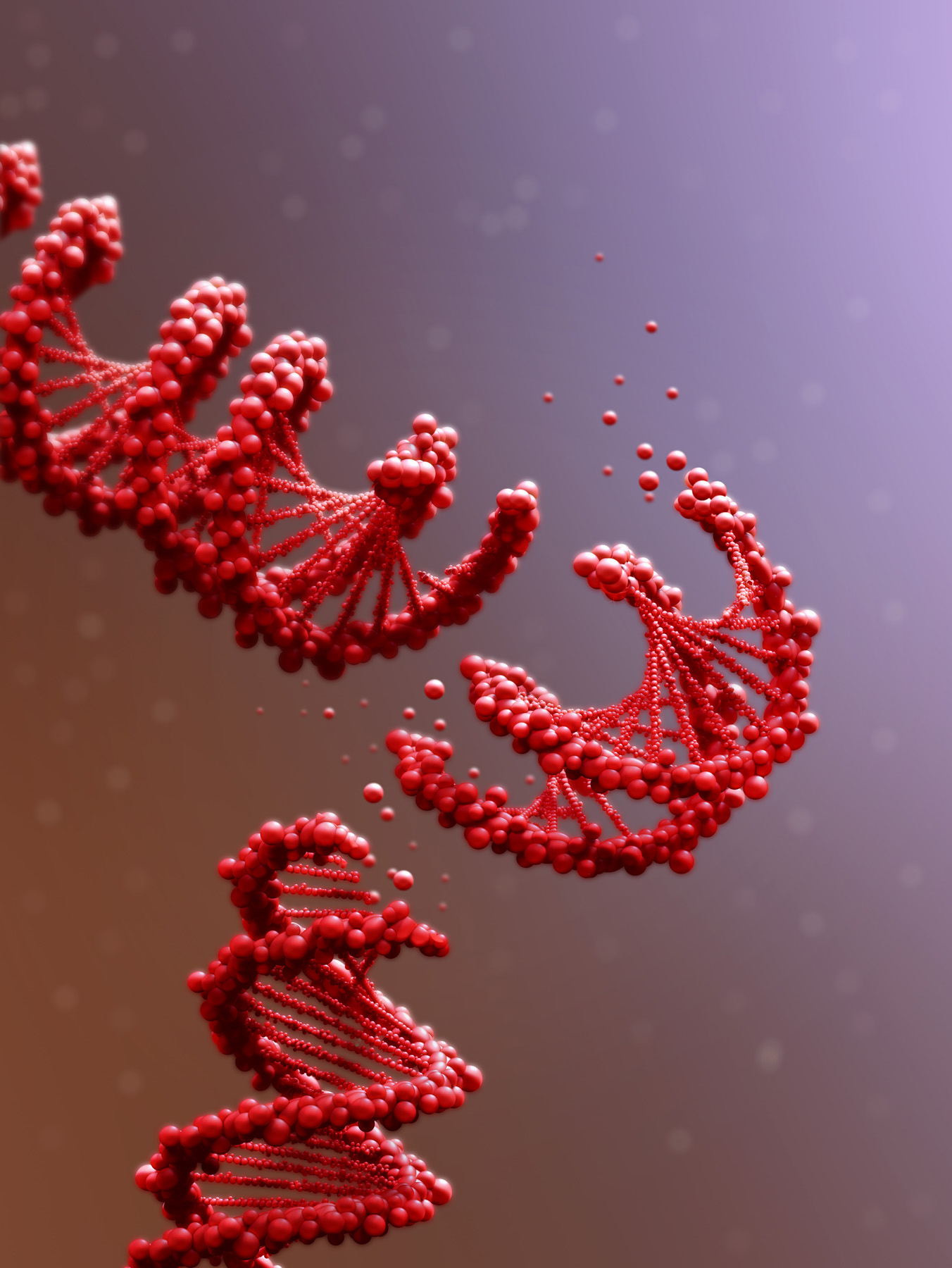 DNA damage.jpg