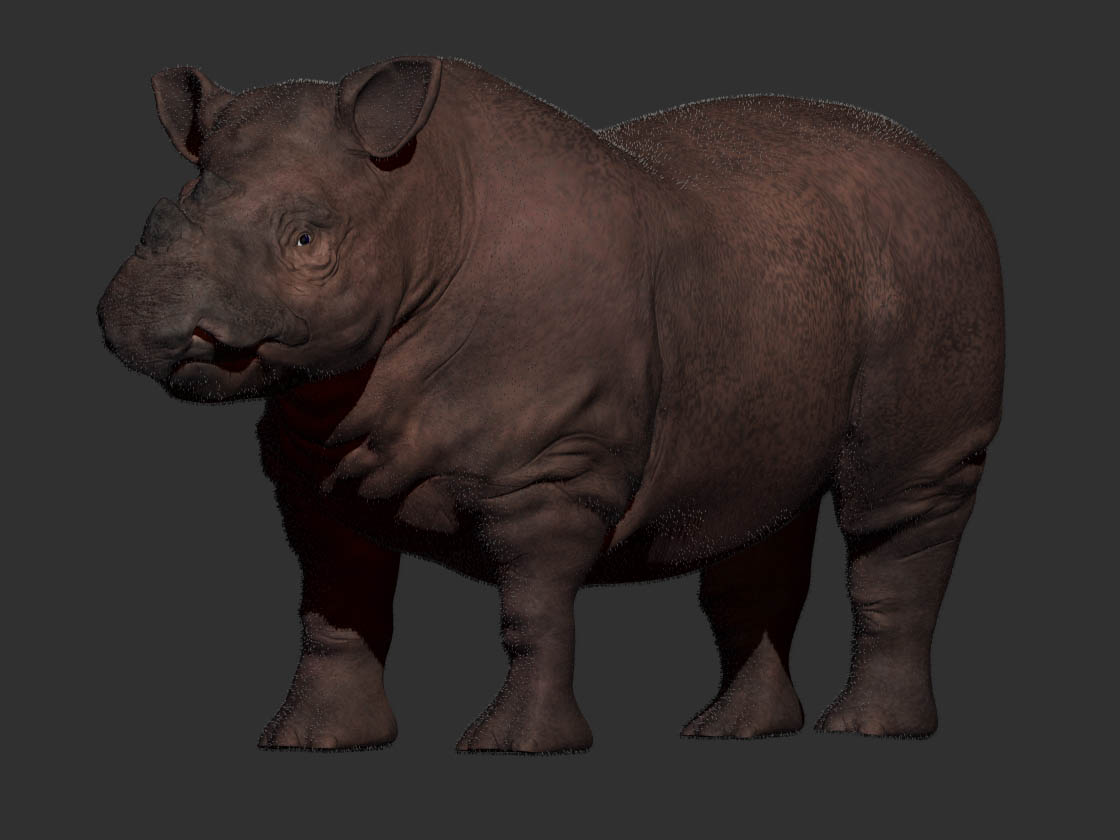 RhinoImg07.jpg