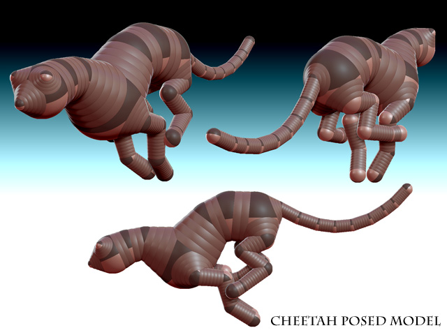 cheetah.jpg