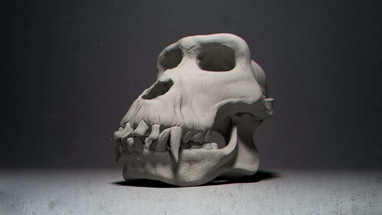 Gorilla_Skull_Render.jpg