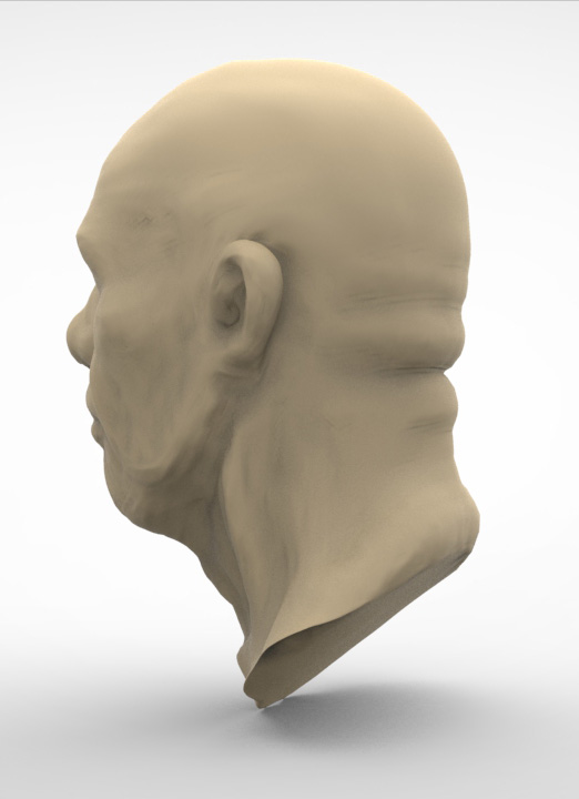 fasthead_a.jpg