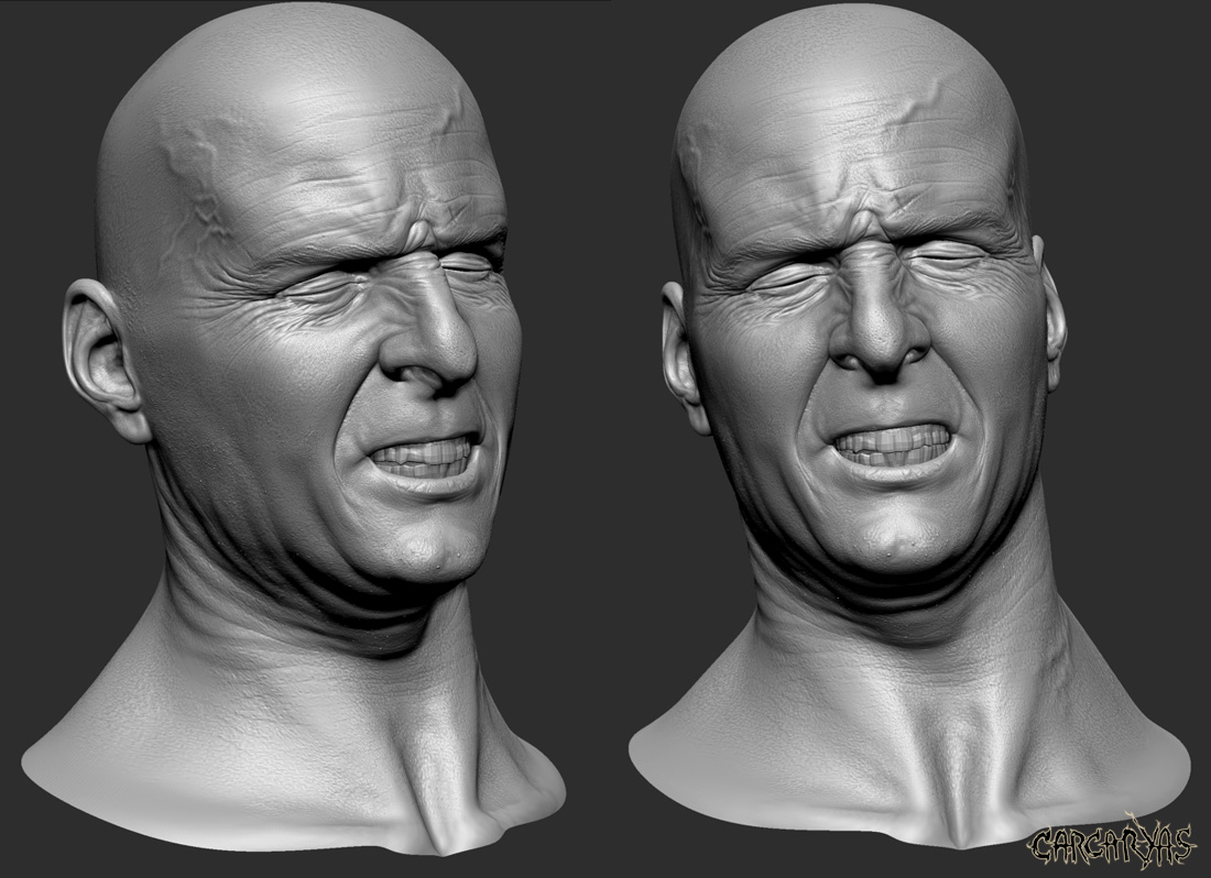 3D_23_09_carcaryas.jpg