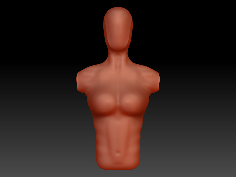 FemaleAnatomy.jpg