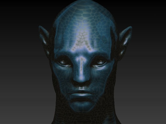 Head 3.jpg