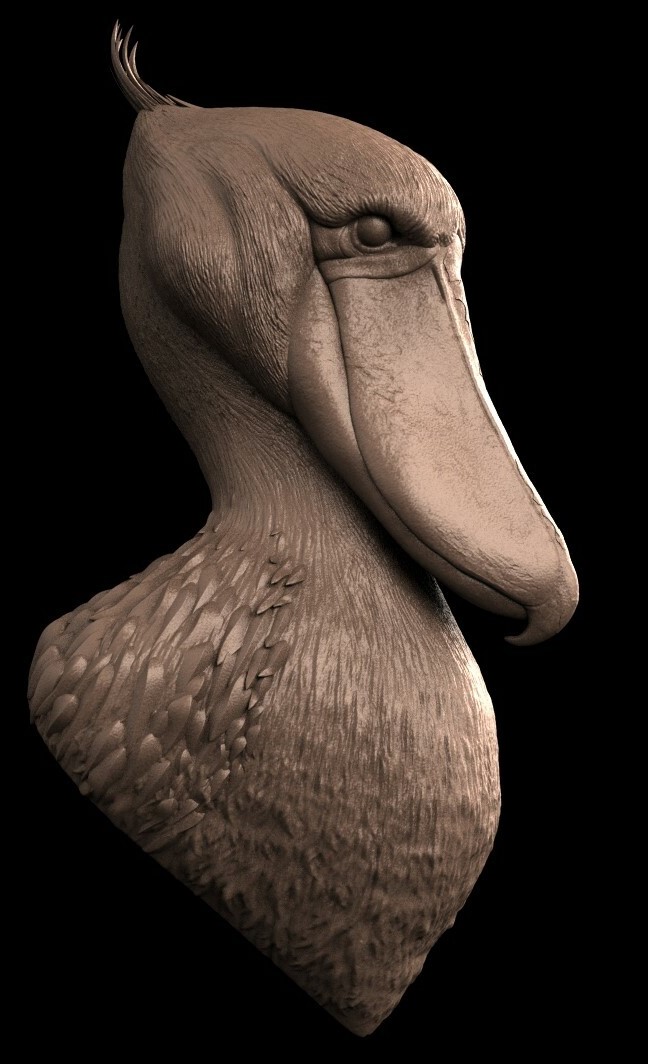 stefano-cordioli-untitled-300copy