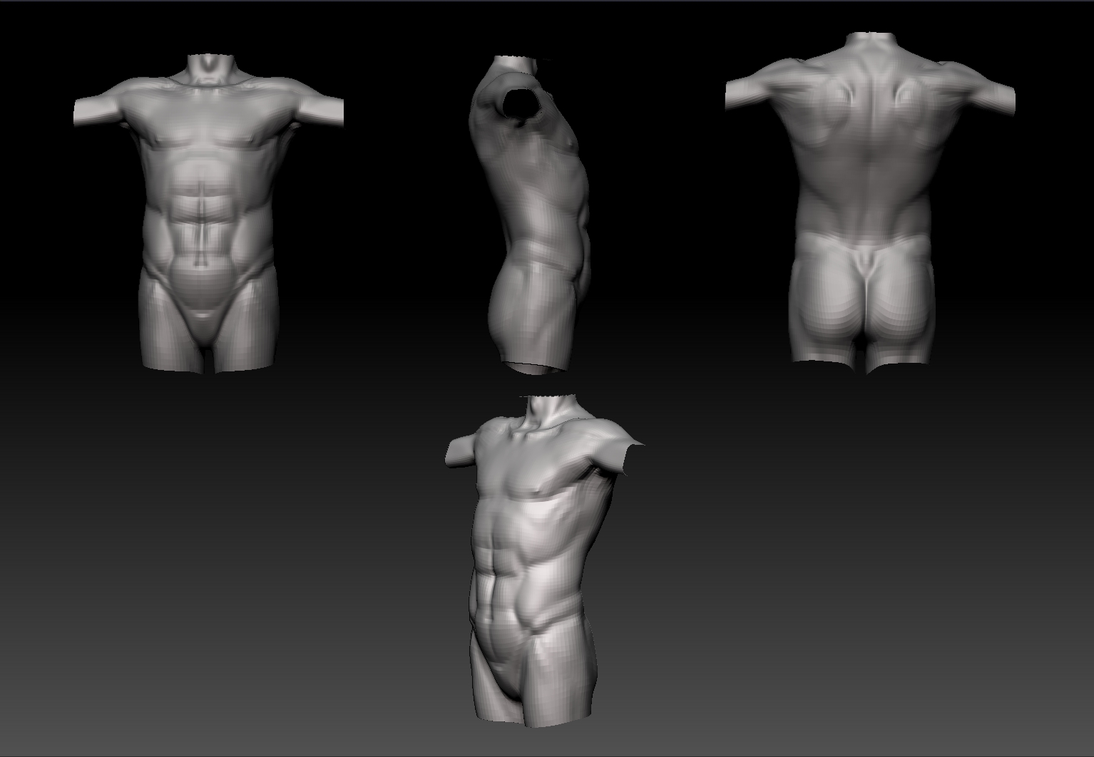 anatomy_1.jpg