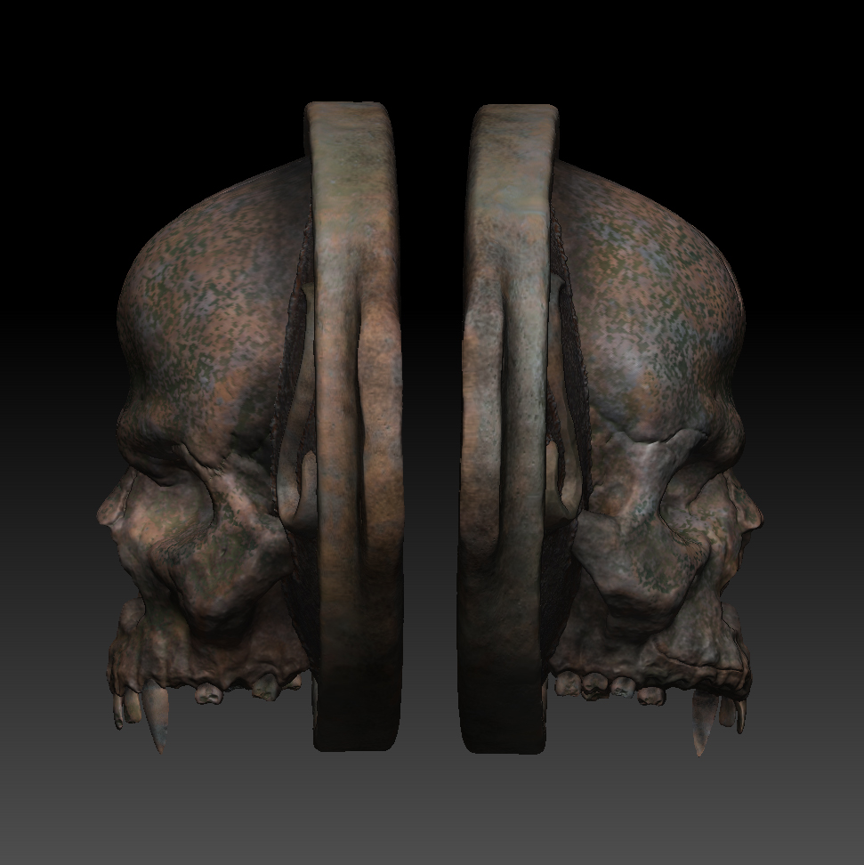 Rexxar_Progress_45c.jpg