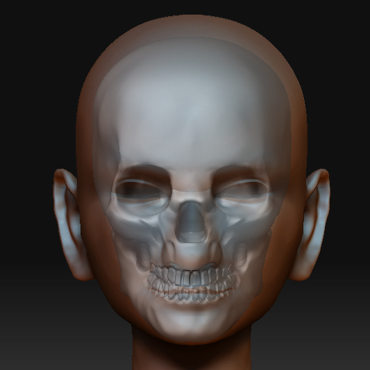 quinneskull02.jpg