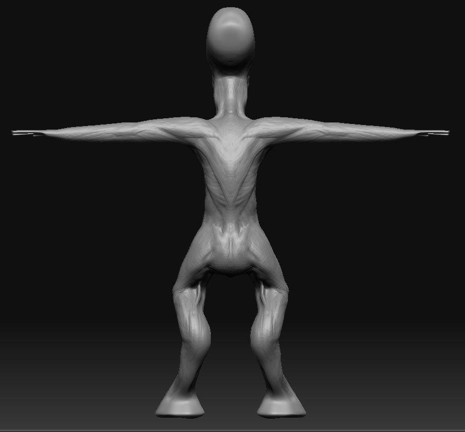 wip_body_back_1.jpg