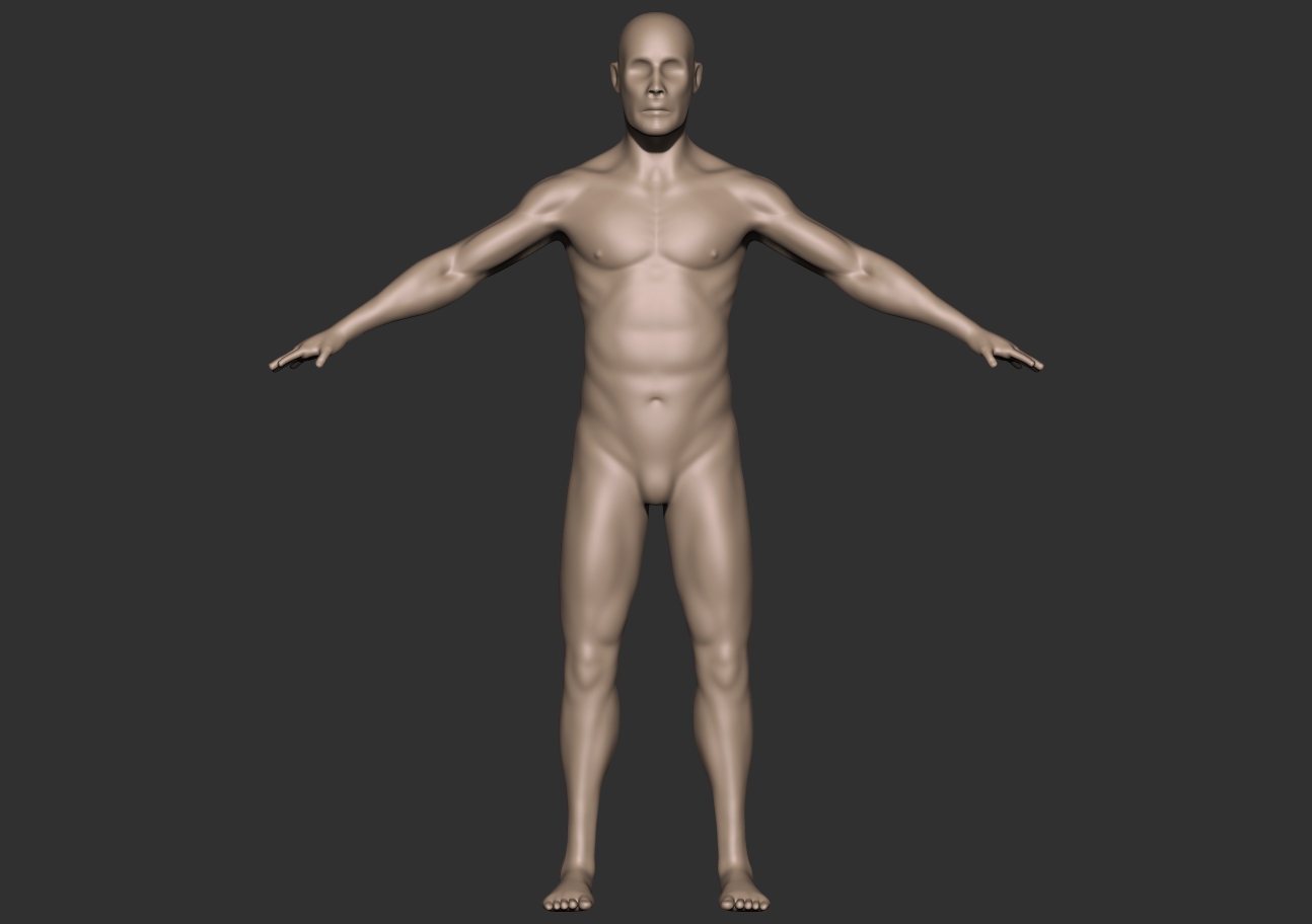 male anatomy_front.jpg