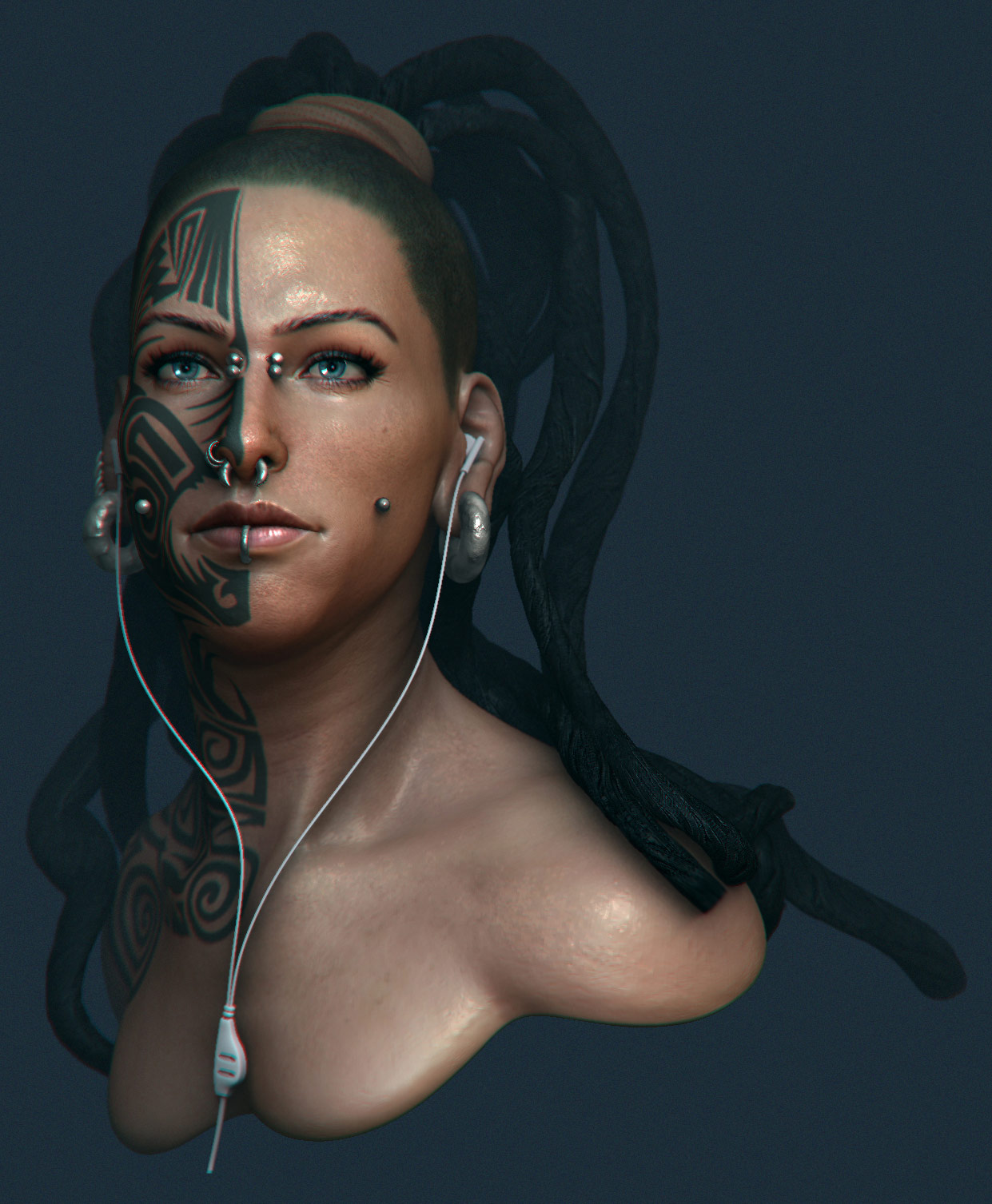 render-02-net.jpg