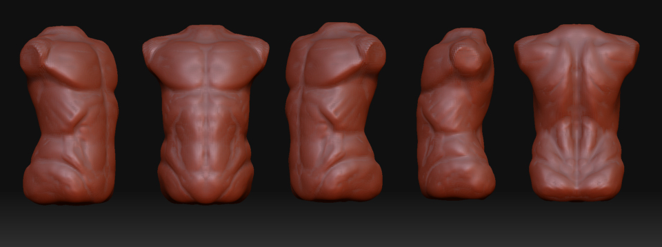 Torso.jpg