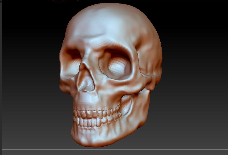 skull.JPG