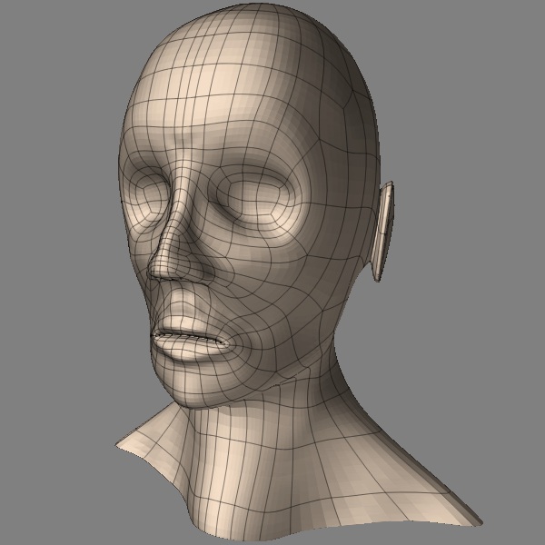 another-damn-head2.jpg