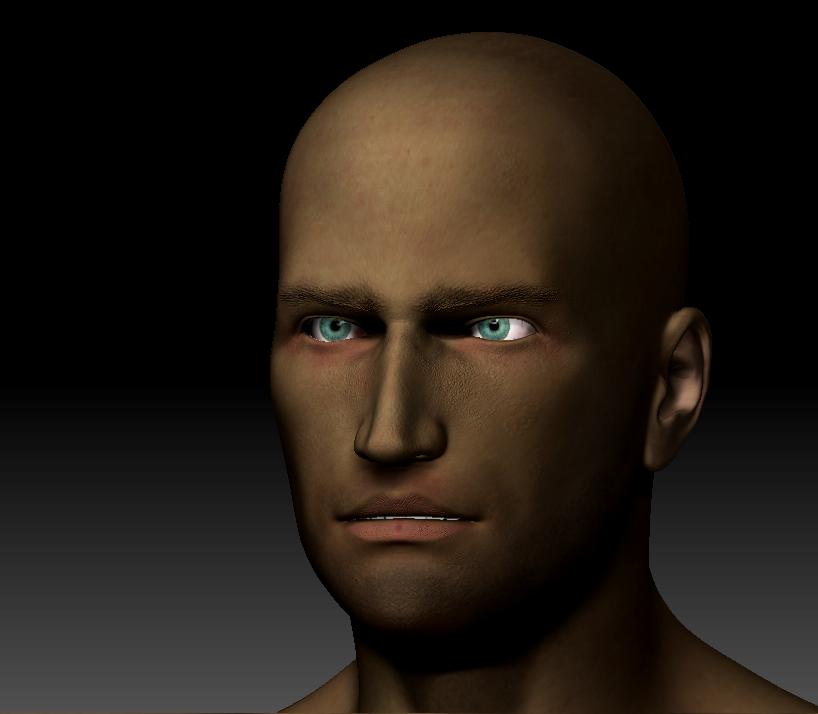 Assassin_texture-skin.JPG