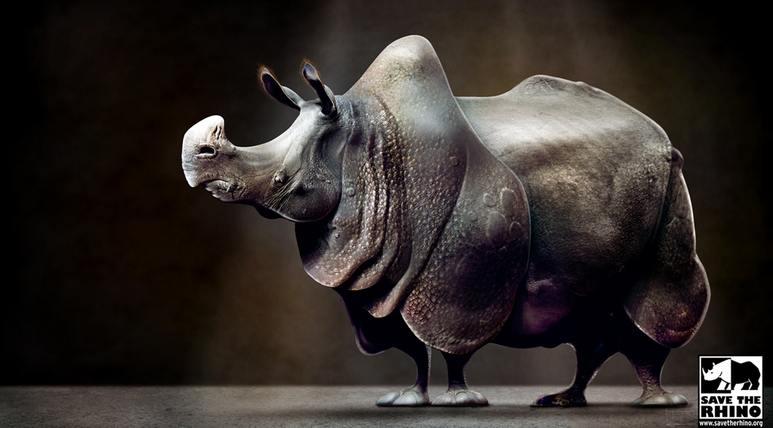 savetherhino small2.jpg