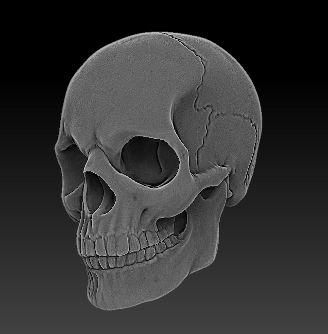 skullback.JPG