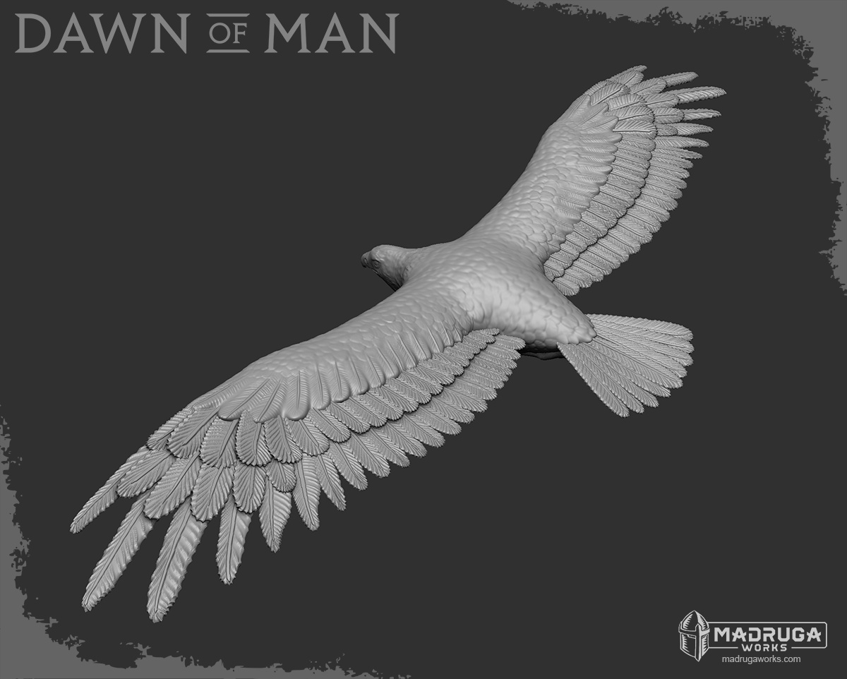 eagle_zb