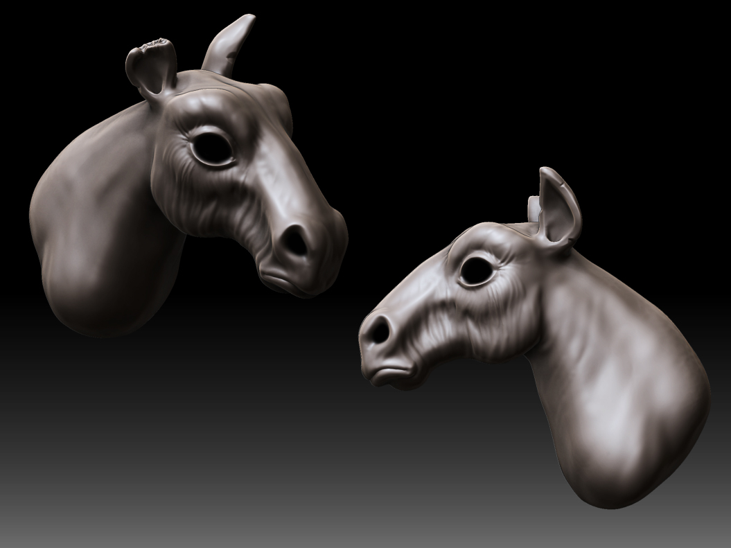 horse.jpg