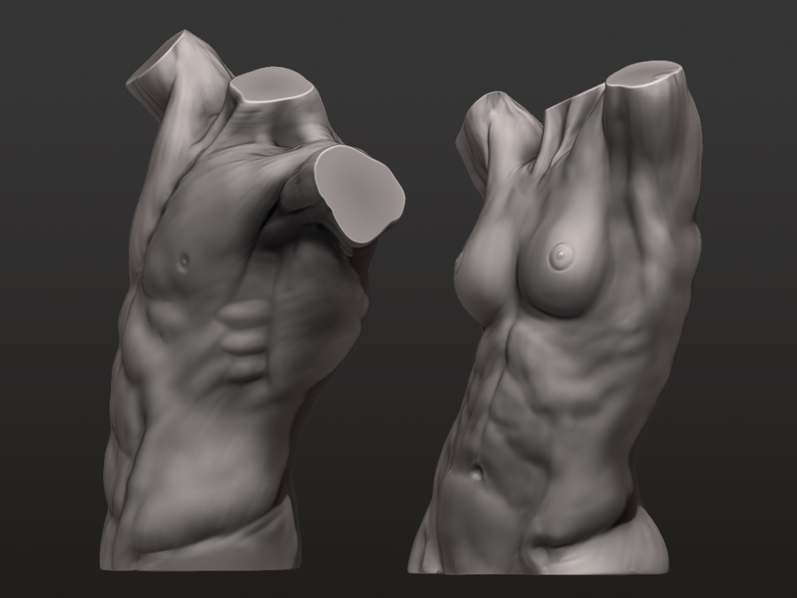 Torso_5.jpg