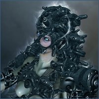 Mechmuttriderfla198t.jpg