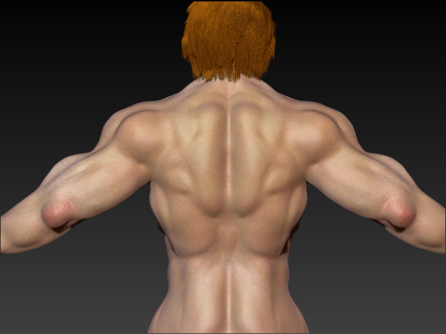 Back.jpg