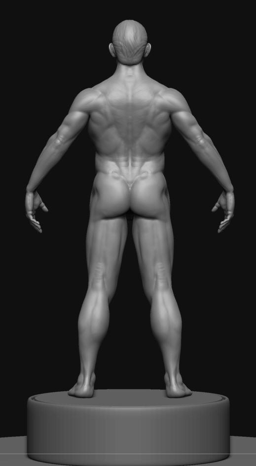 rmale body refined perspective ZBC.jpg
