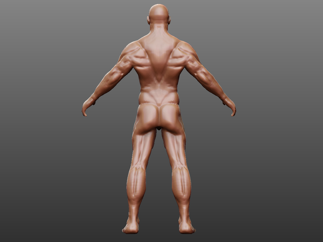 3 Hour Sculpt2.jpg