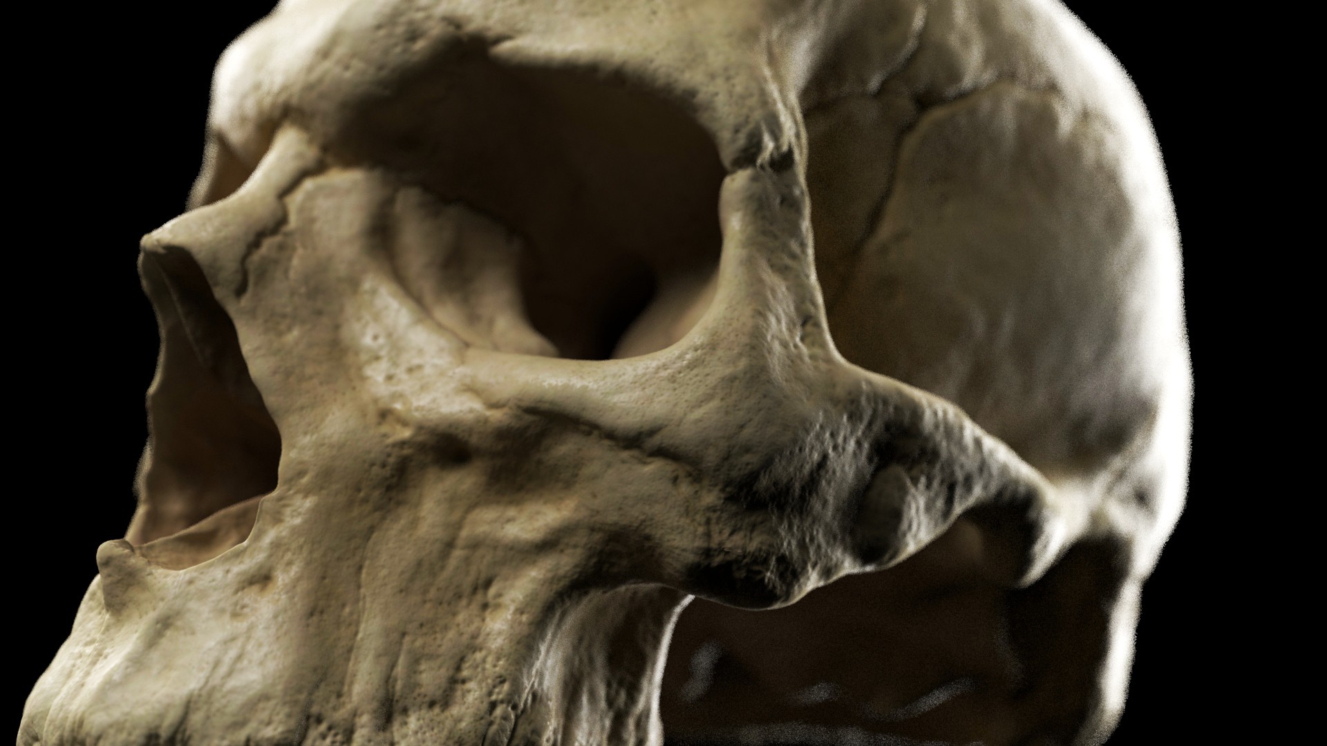 skull_dof+er.jpg