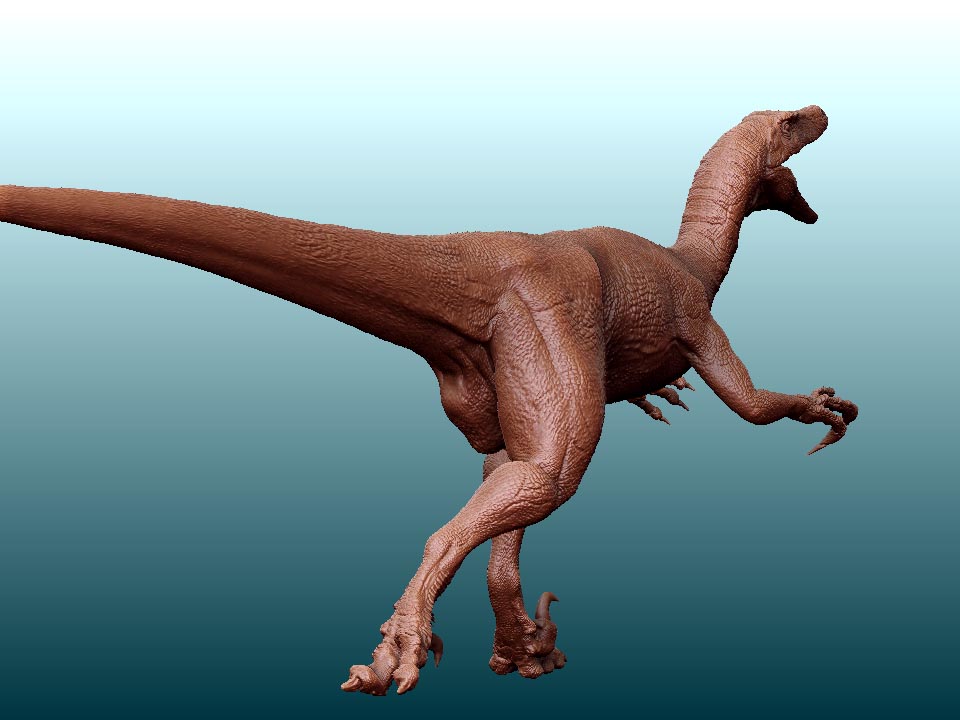 ZBrush D2.jpg