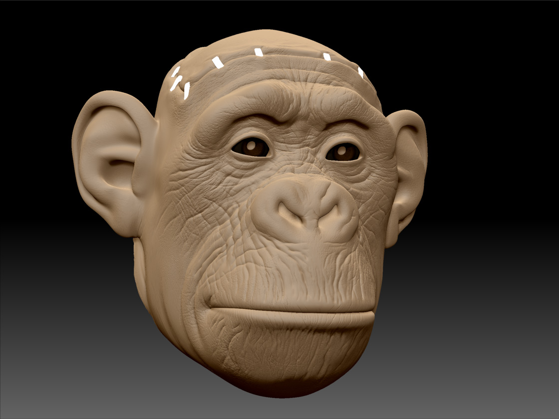 MonkeyFaceRobot_47_ZB_shaded_01.jpg