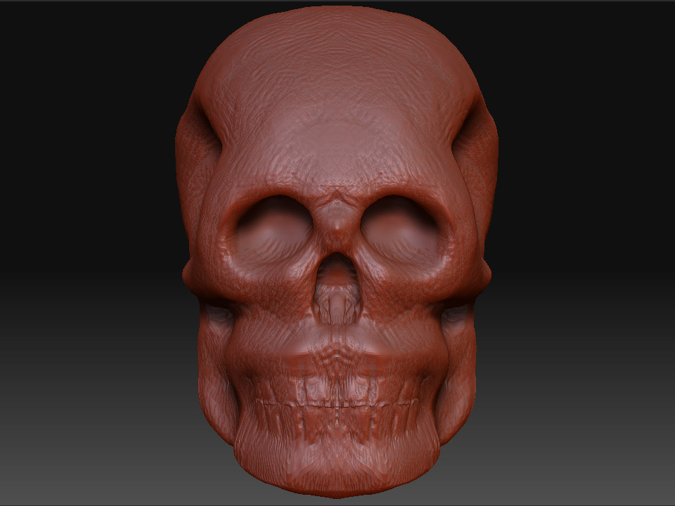 Skull_2_front.jpg