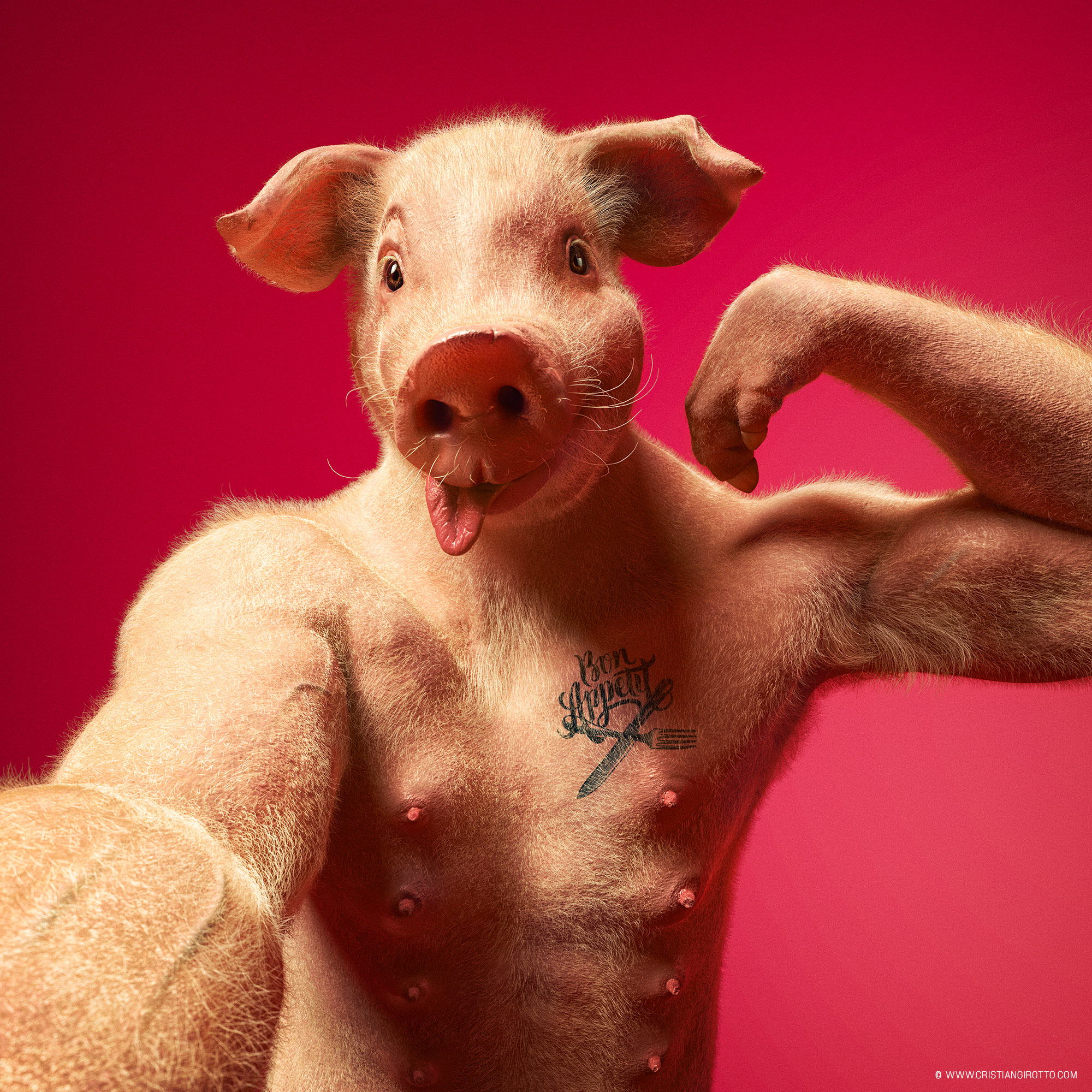 pig.jpg