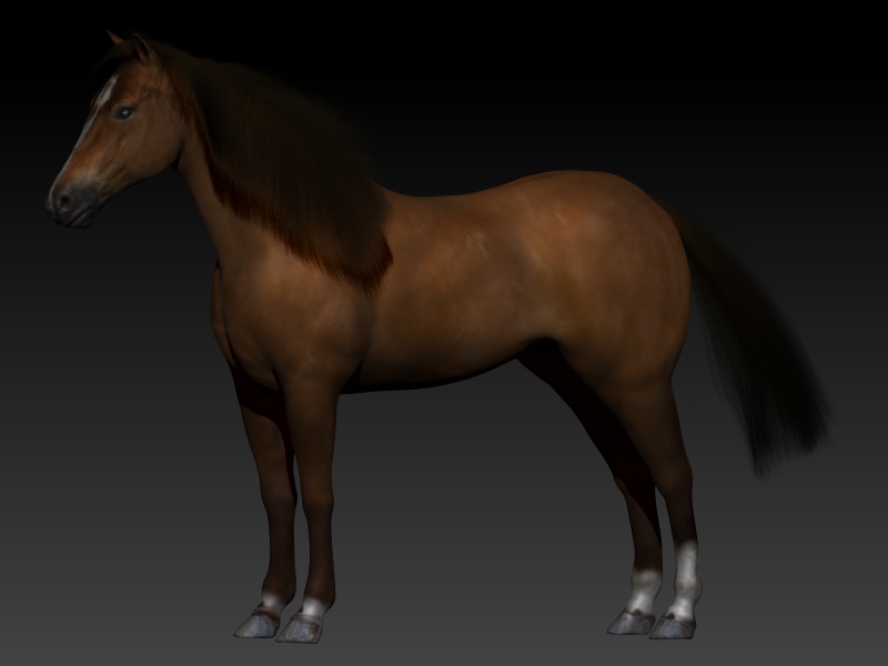 Full%20Horse%20%20(3)