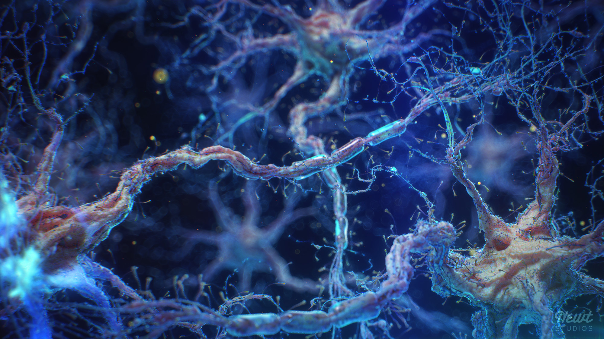 Как называются клетки головного мозга. Нейроны мозга. Сеть нейронов. Нейроны и нейронные связи. Нейронная система мозга.