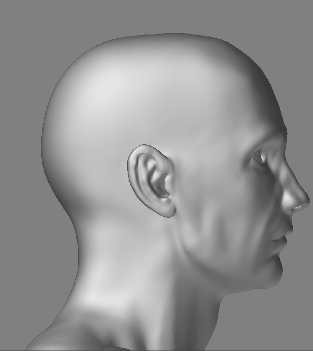 CharacterManHeadSide_01.jpg