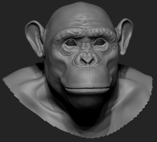 chimp14.png
