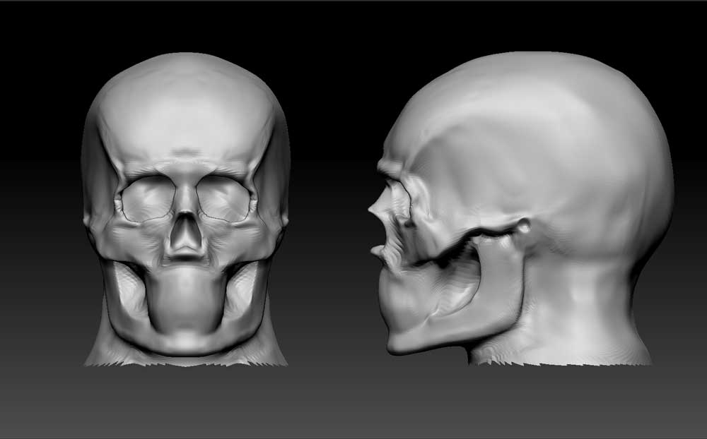 Skull01.jpg