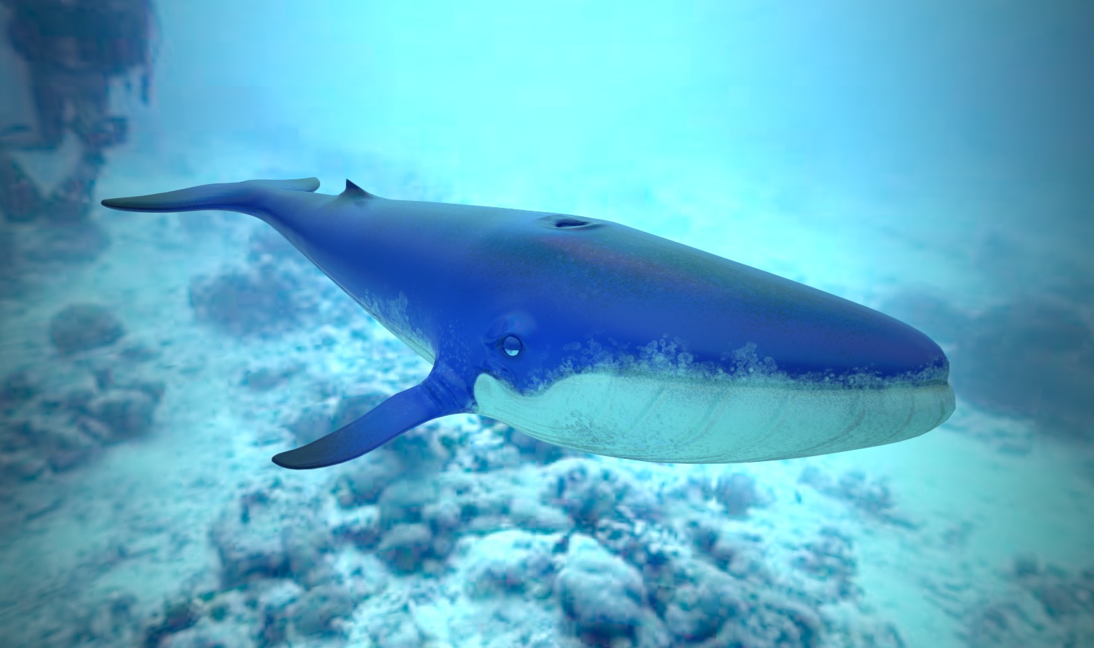 WhaleRend.jpg