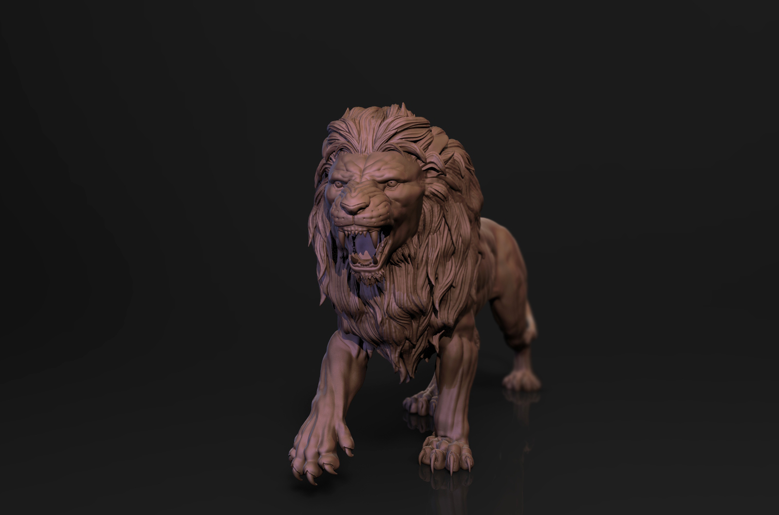 lion_tokhmi copy.jpg