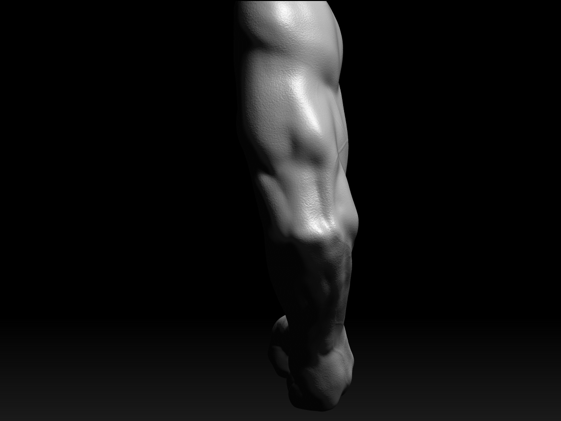 Tricep.jpg