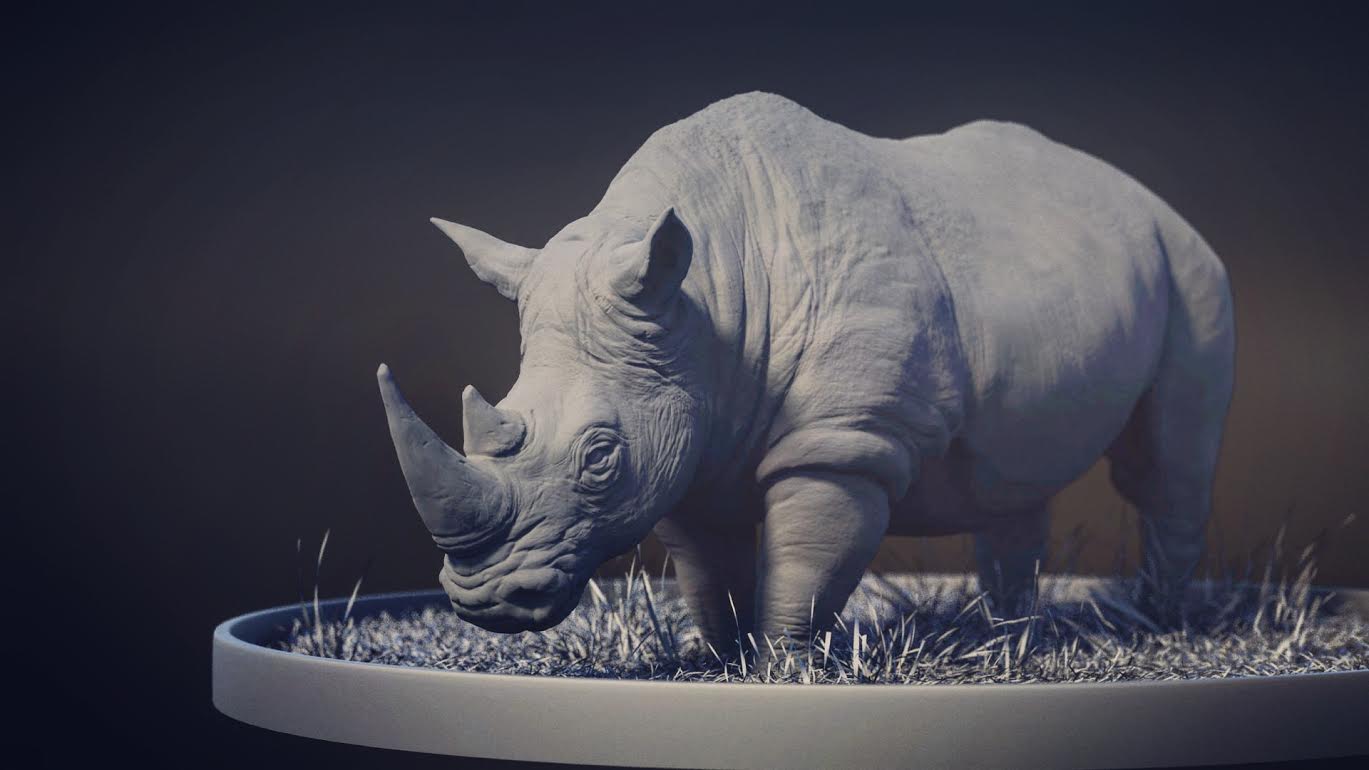 Rhino_Insta.jpg
