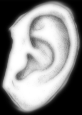 oreja_DISP.jpg