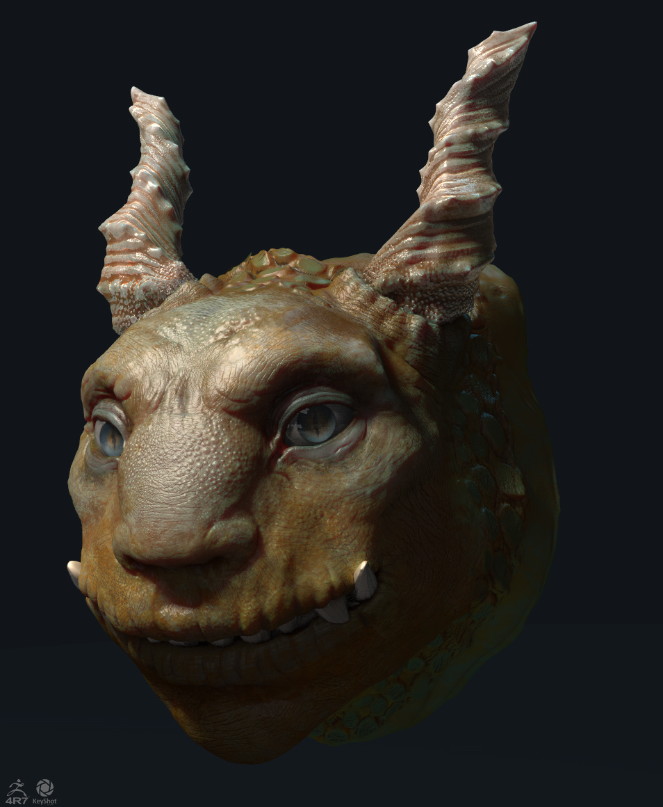 Head_close_01.jpg