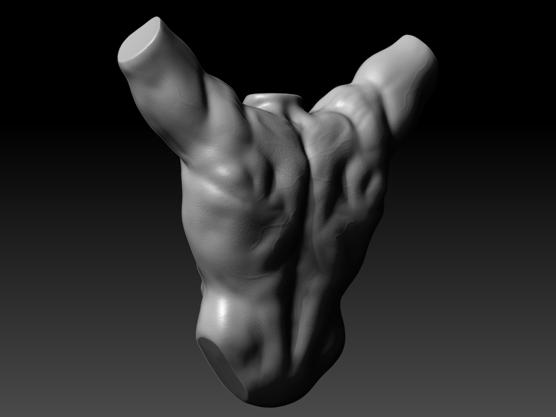 Torso2.jpg