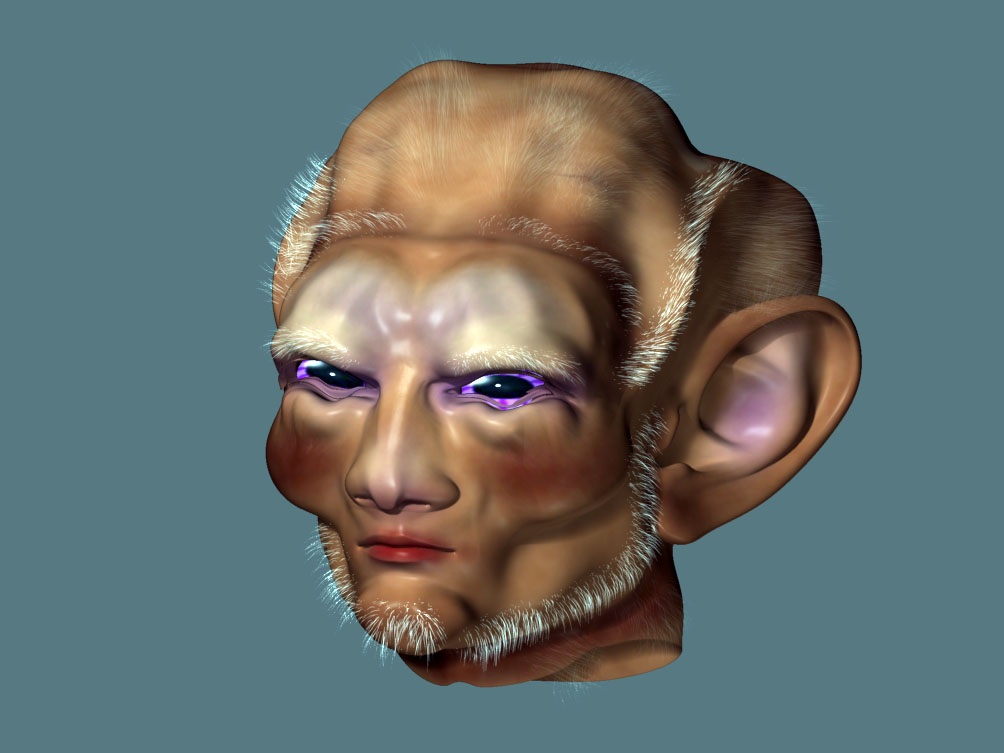 head for the new era.jpg