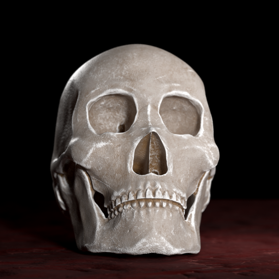 Skull_Front